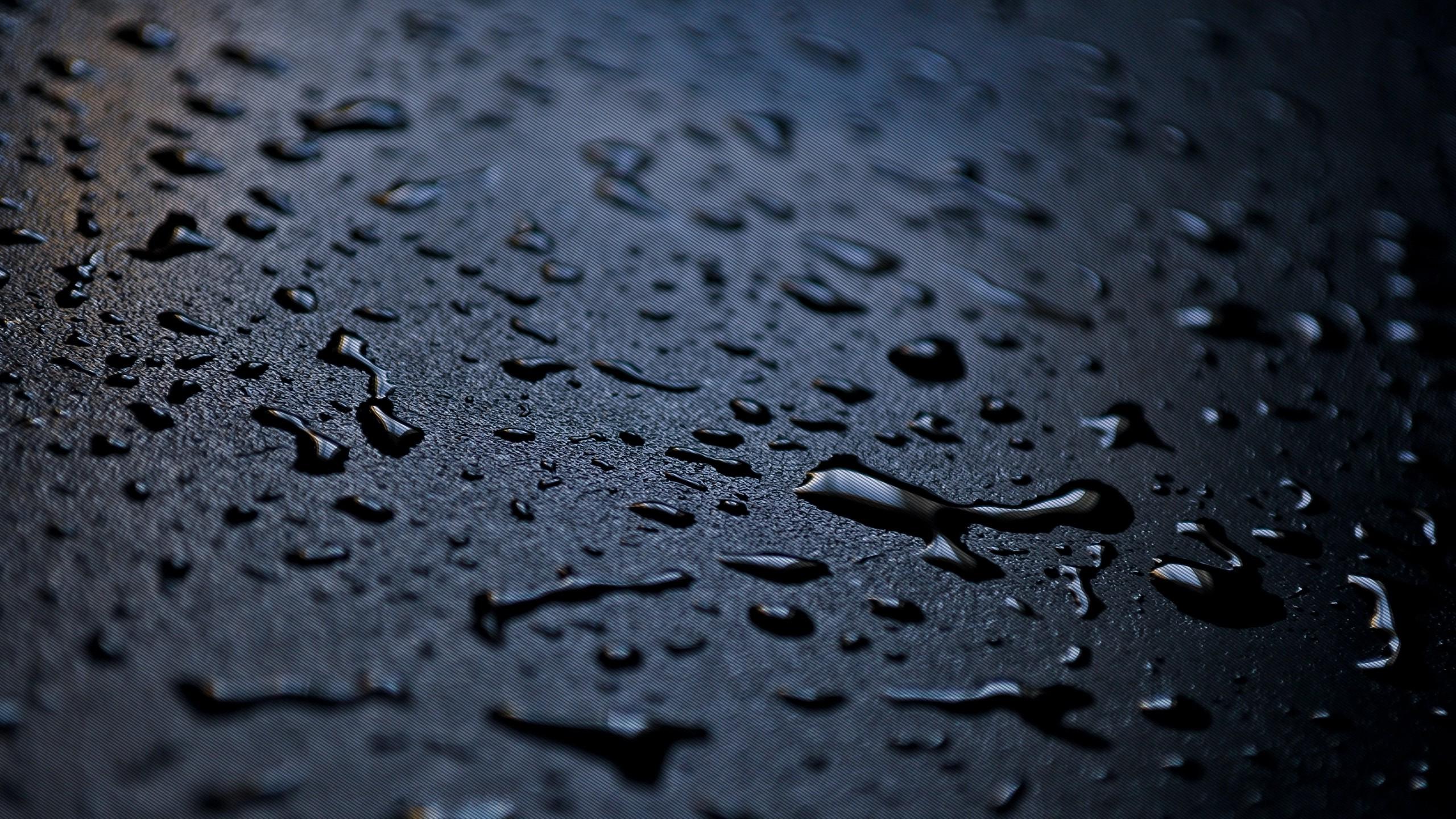 Logo - HD Wallpaper 