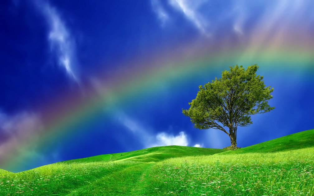 Rainbow And Tree Background - HD Wallpaper 