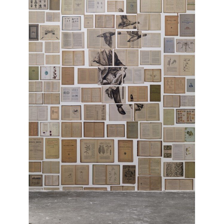 Biblioteca Wallpaper By Ekaterina Panikanova - HD Wallpaper 