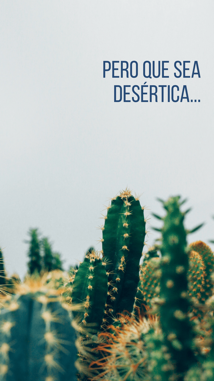 Born Without A Zip On My Mouth - HD Wallpaper 