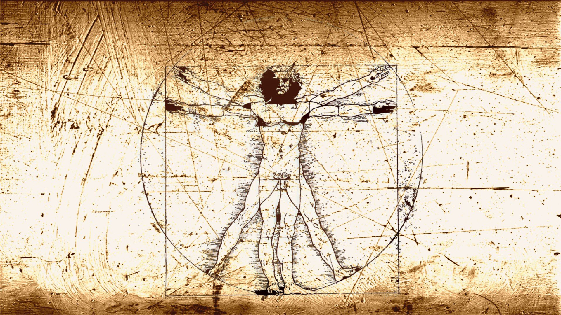 Titulo - Da Vinci Wallpaper Hd - HD Wallpaper 