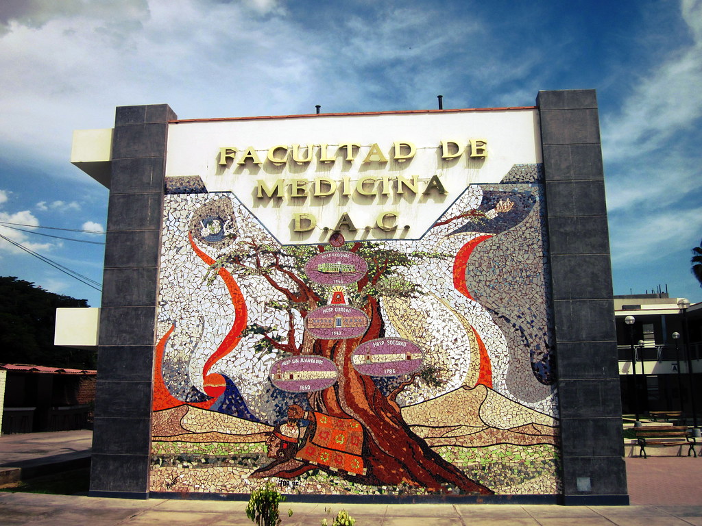 Facultad De Medicina Humana Daniel Alcides Carrion - HD Wallpaper 