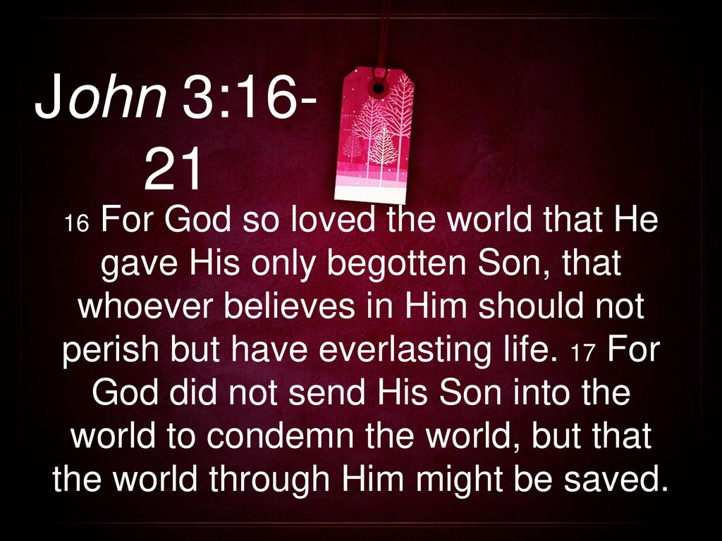 Journal Of Cell Science - HD Wallpaper 