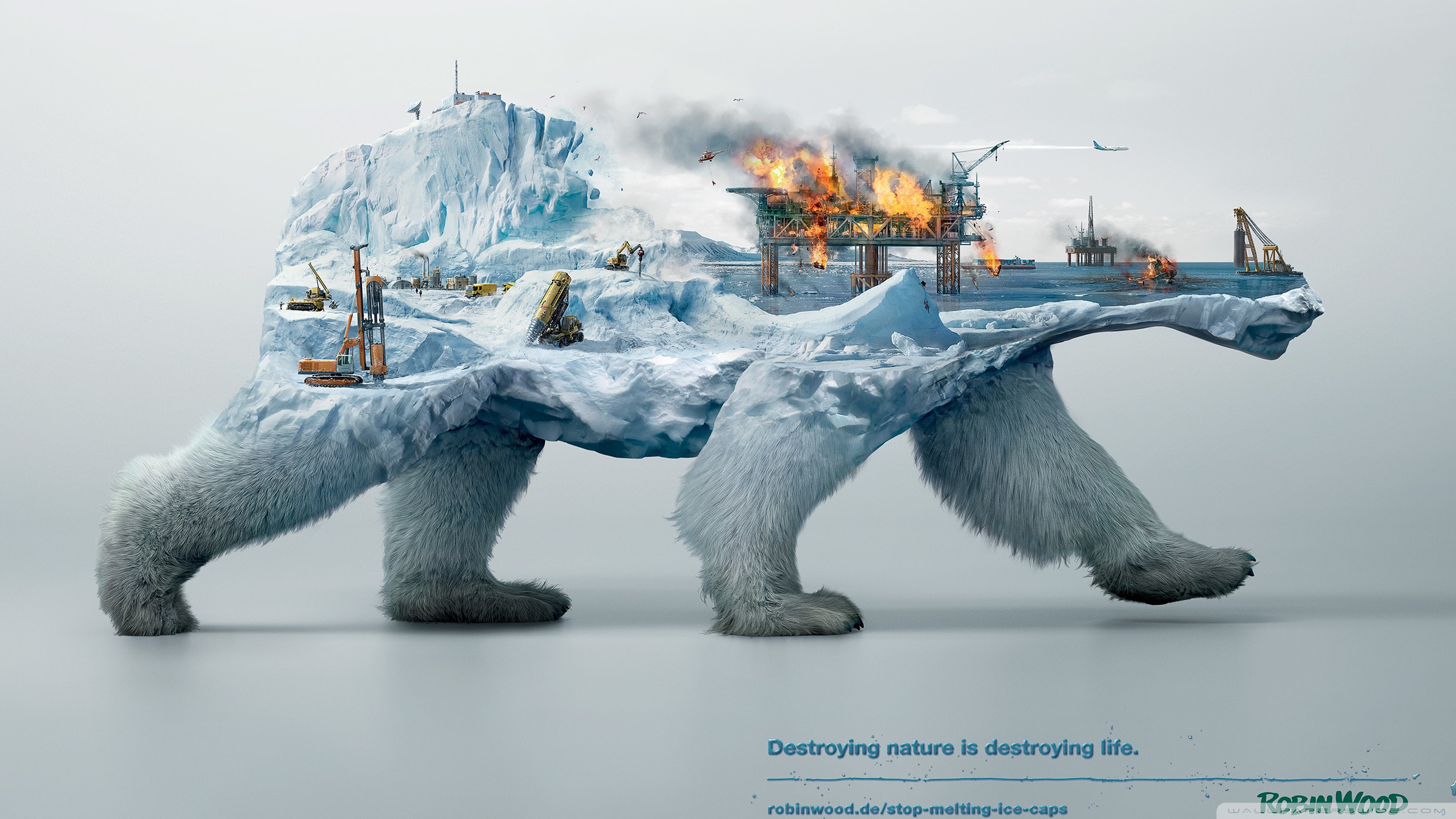 Robin Wood Polar Bear - HD Wallpaper 