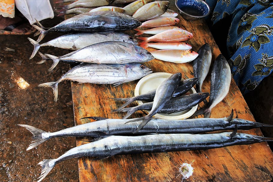 Fish, Marine, Fish Market, Seafood, Eating, Nature, - Sea Fish For Eating - HD Wallpaper 