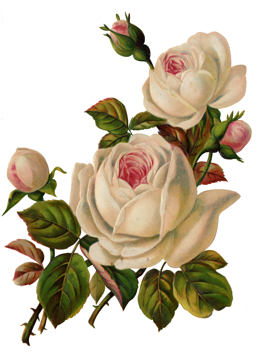 Cb-88, Wallpaper V - Vintage Flower Art Png - HD Wallpaper 