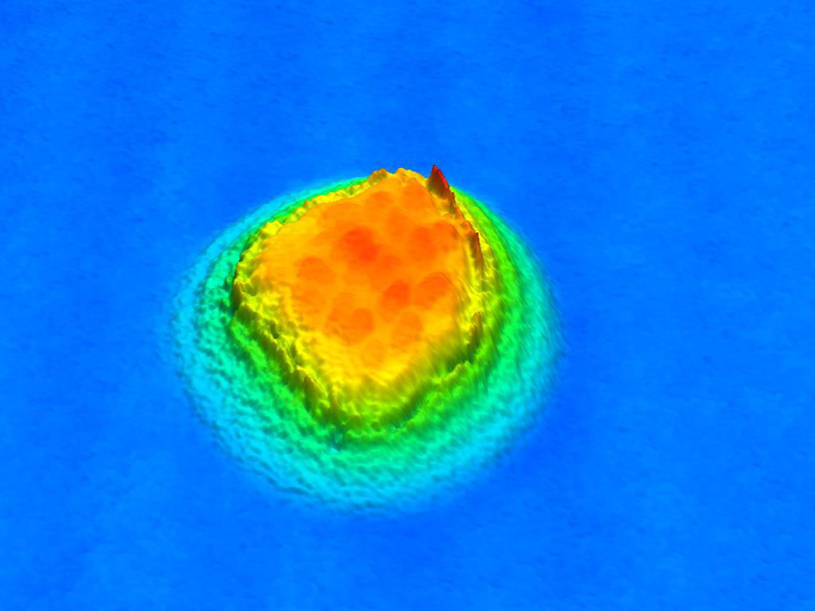 Bacteria Colony - HD Wallpaper 