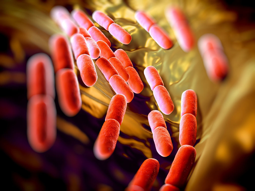 Pneumonia Is Caused By Which Bacteria - HD Wallpaper 