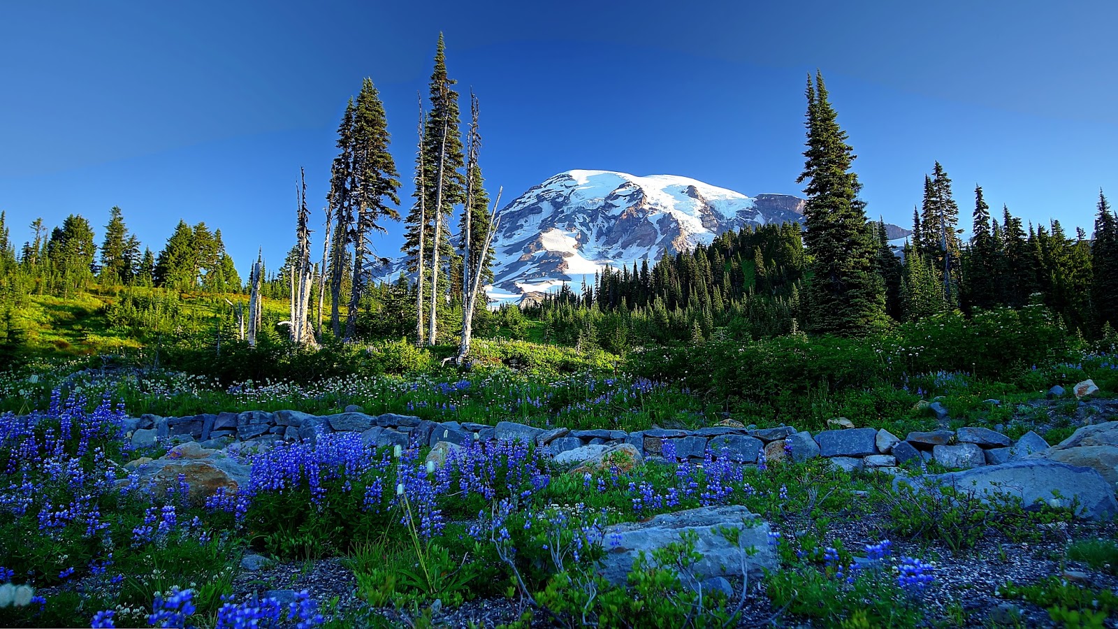 Mount Scenery - HD Wallpaper 