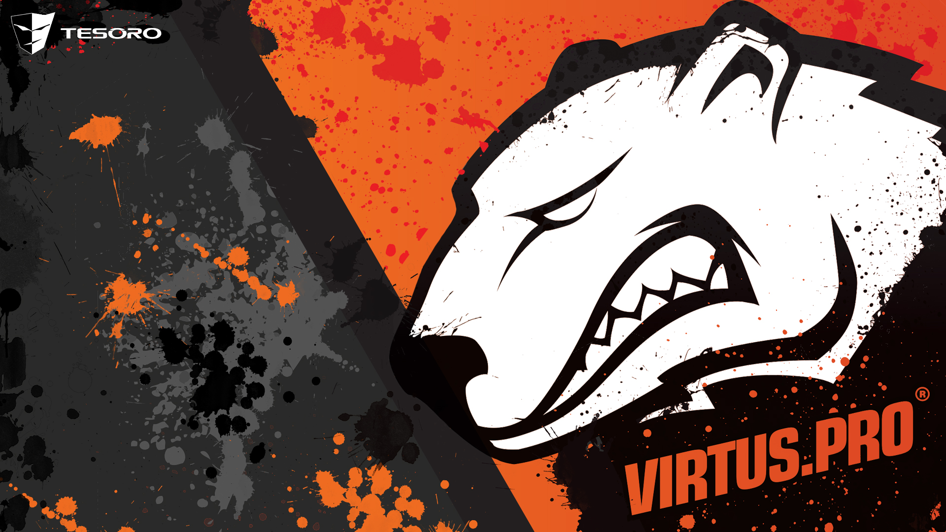 Pro Cs Go - Mouse Pad Virtus Pro - HD Wallpaper 