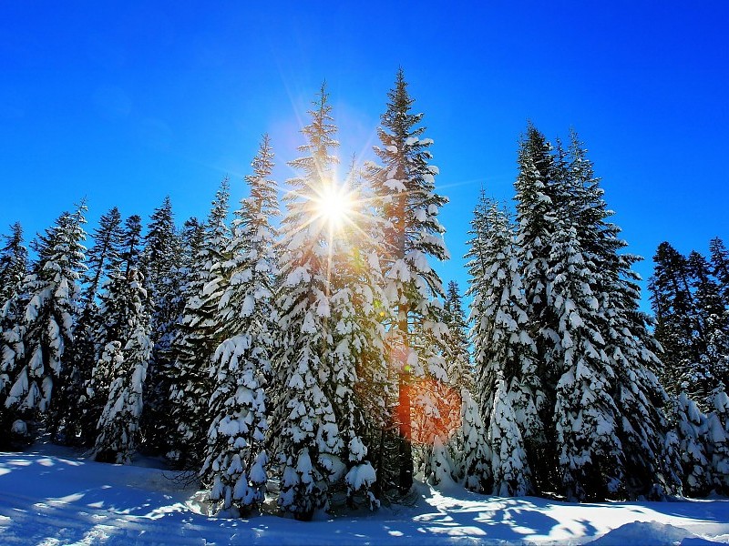 Sunny Winter Day Wallpaper - Sunny Winter Day Free - HD Wallpaper 