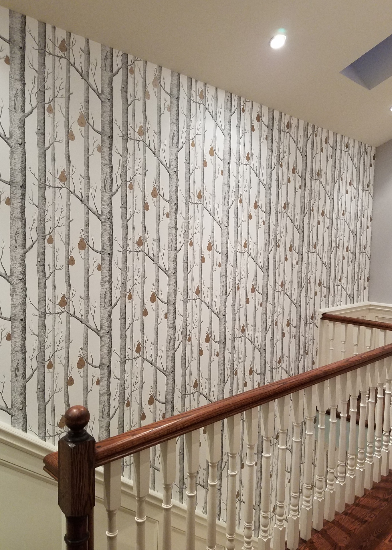 Cole And Son Wallpaper Contemporary Restyled Woods - Wall - 1370x1919 Wallpaper Cole And Son Wallpaper Contemporary Restyled Woods - Wall - 1370x1919 Wallpaper
