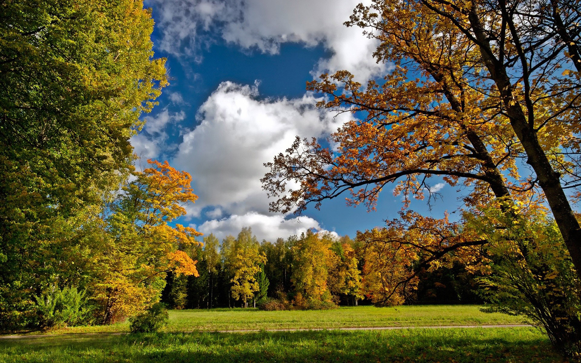 Pc Definition - Fondo De Pantalla De Otoño Soleado - HD Wallpaper 