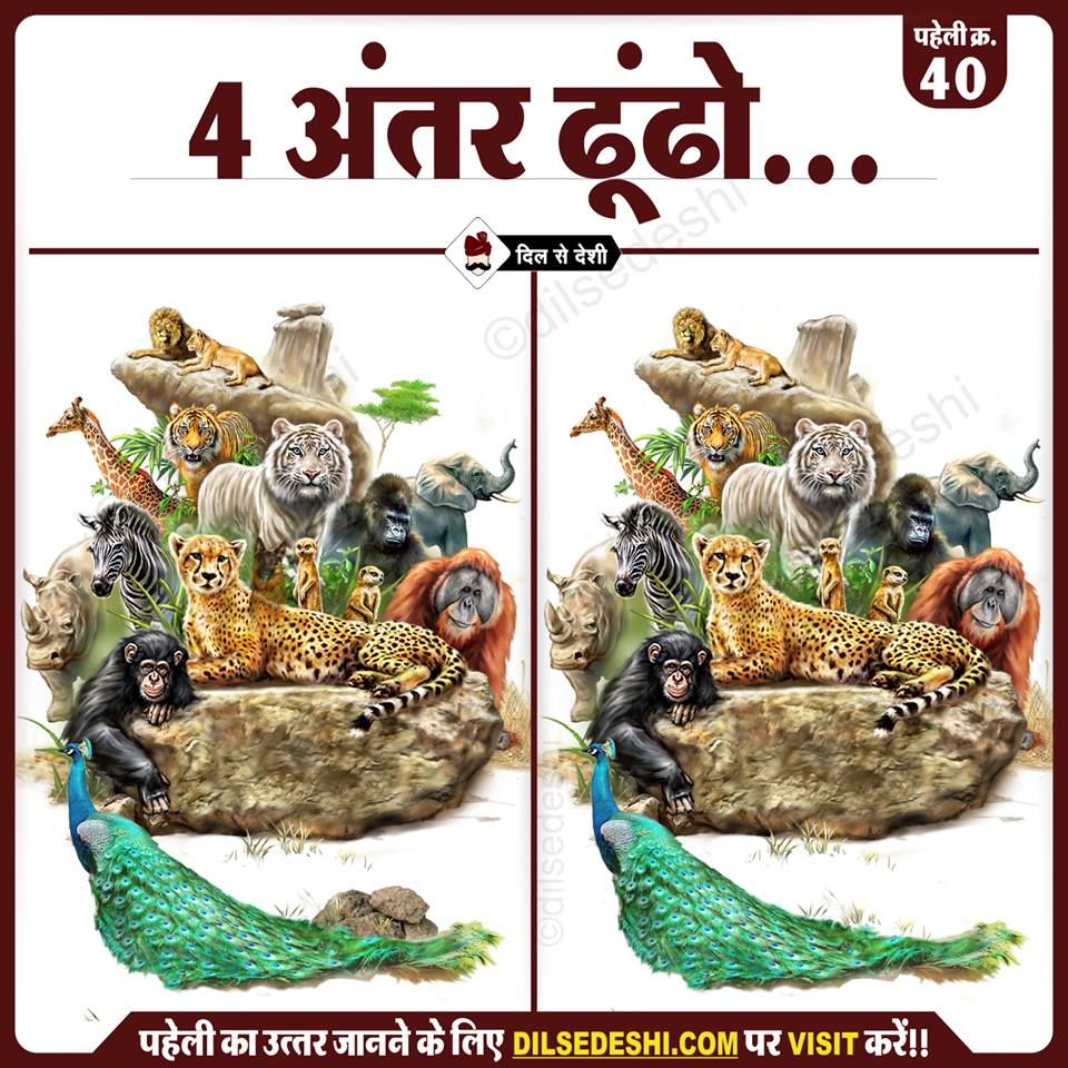 Real Lion Forest Animals - HD Wallpaper 