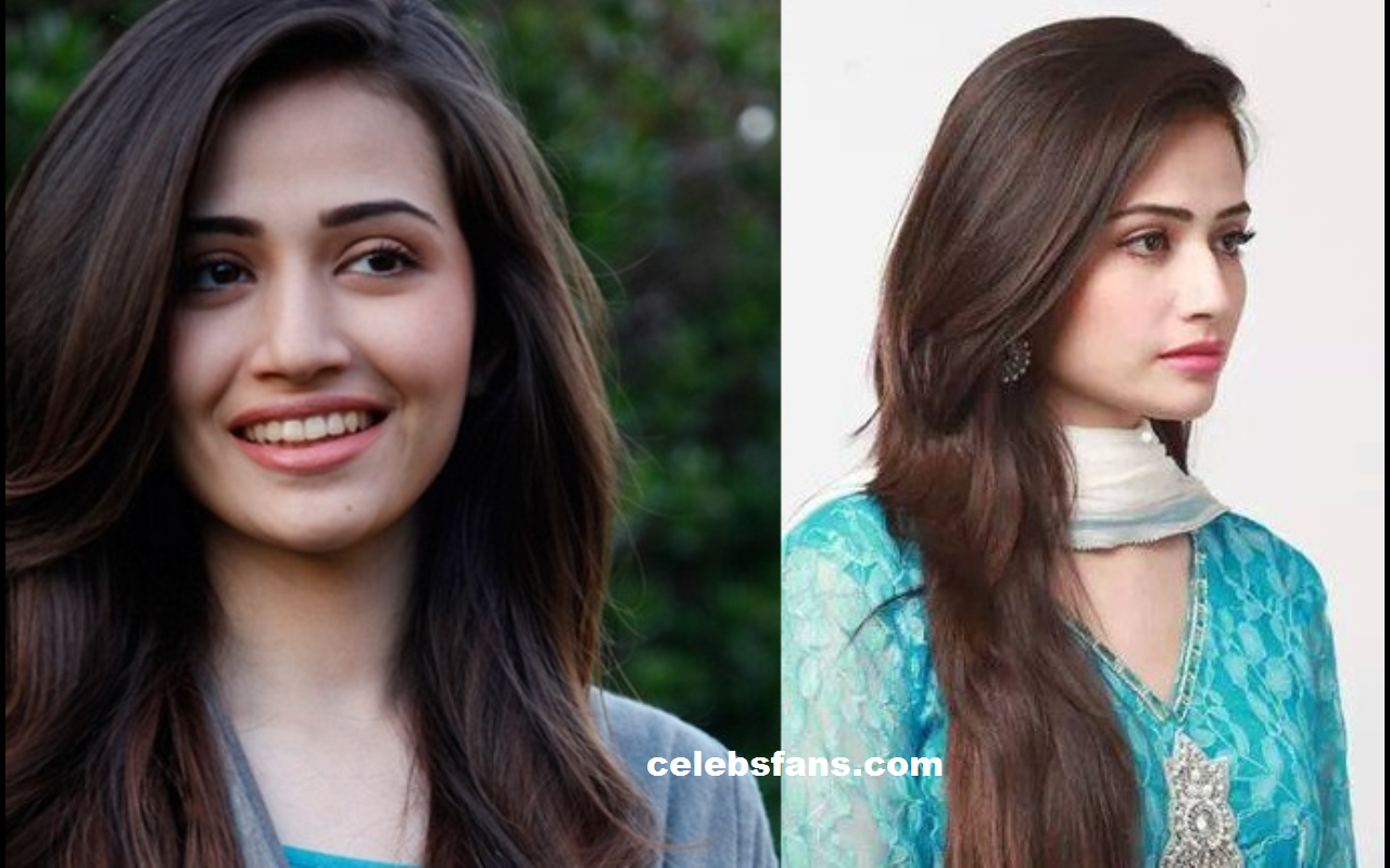 Celebsfans - Com - Sana Javed Pyare Afzal - HD Wallpaper 