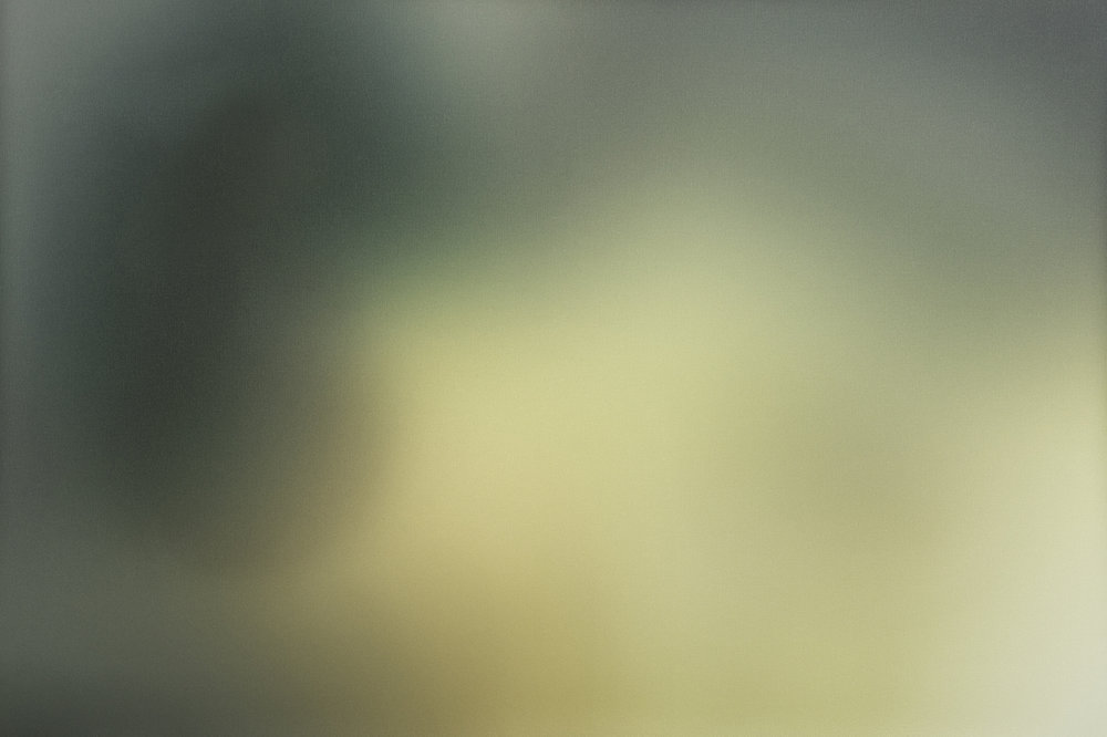 Calico Aura - HD Wallpaper 