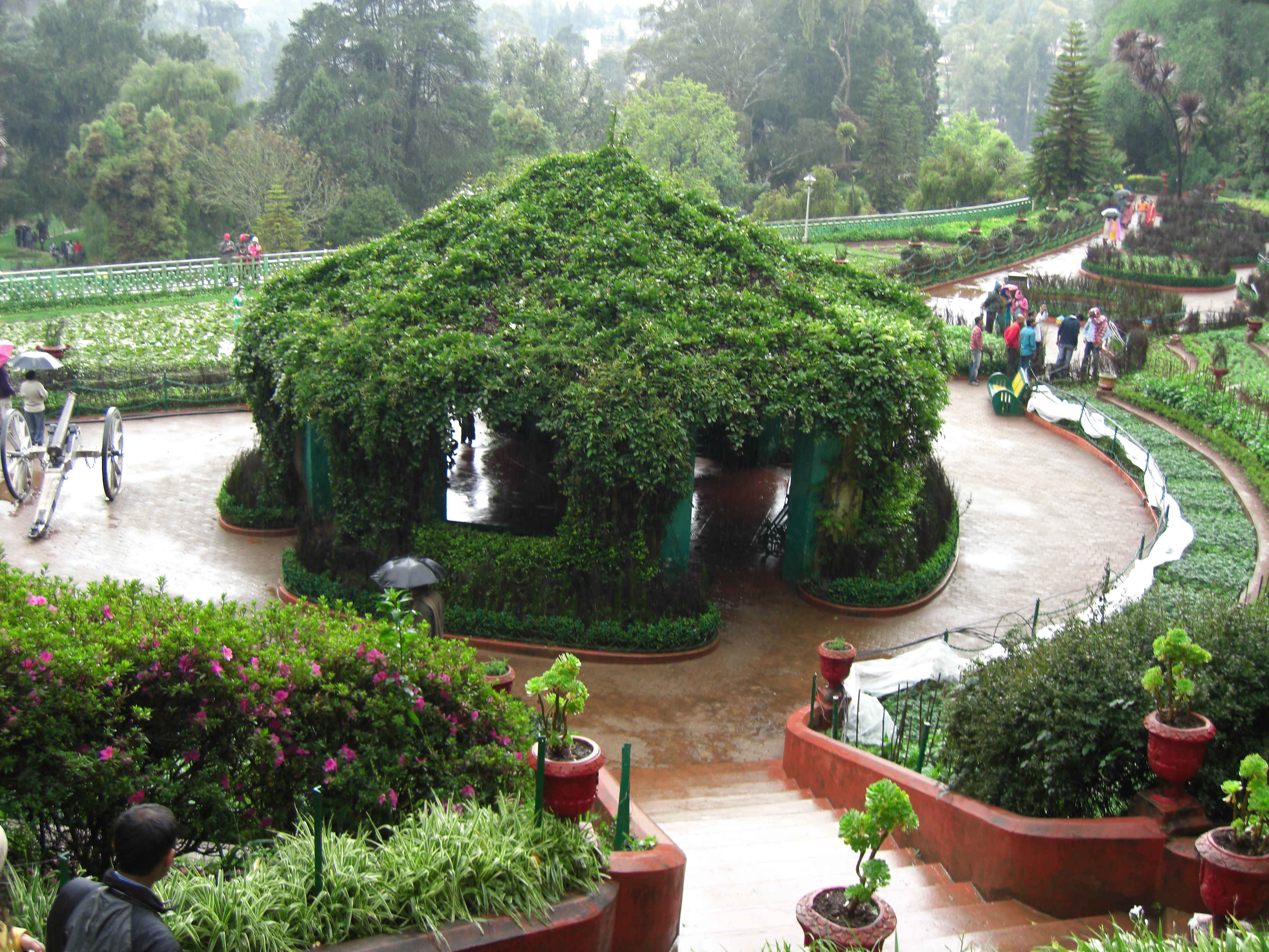 Botanical Garden In Guwahati - HD Wallpaper 