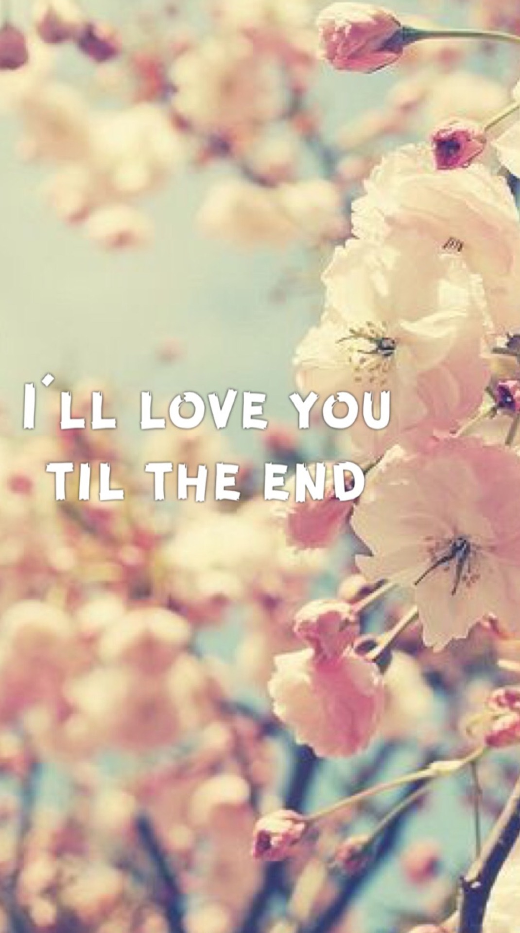 Then I Meet You - HD Wallpaper 