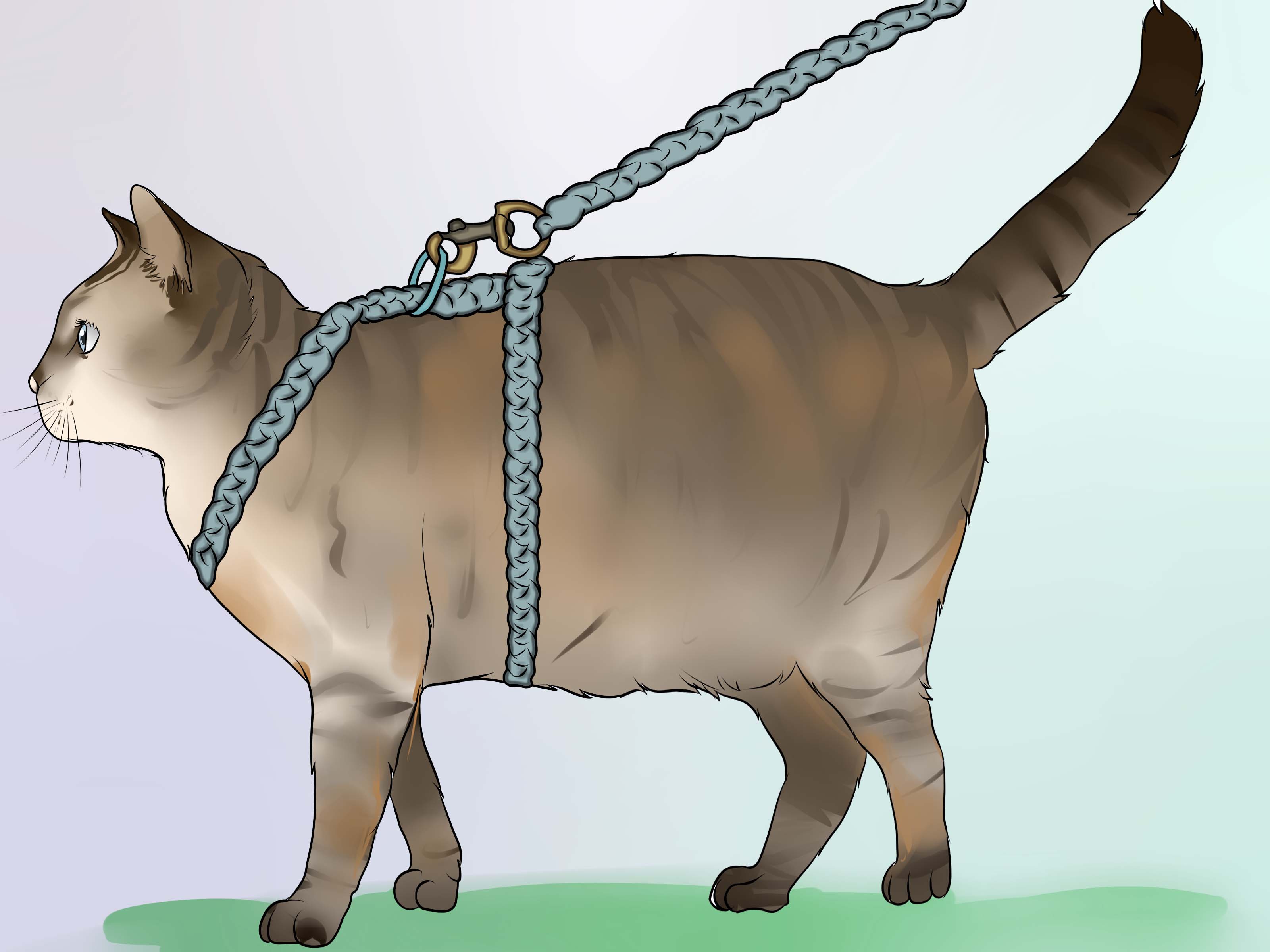 Image Titled Make A Harness For Your Fat Cat Step - Harness On A Cat - HD Wallpaper 