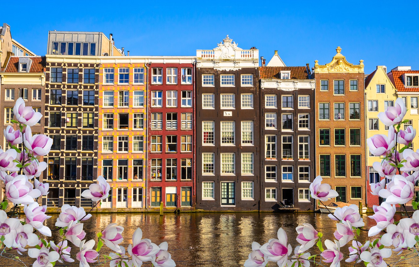 Photo Wallpaper River, Spring, Amsterdam, Flowering, - Traditional Amsterdam Houses - HD Wallpaper 