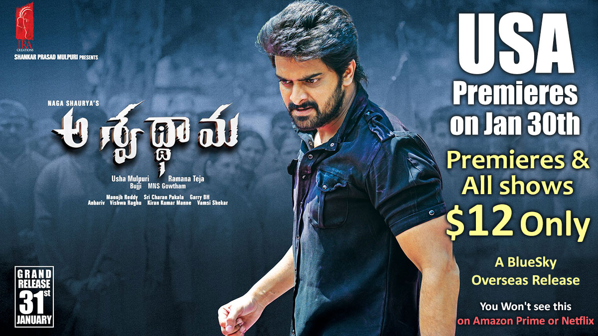 Ashwathama 2020 Telugu Movie Hd - HD Wallpaper 