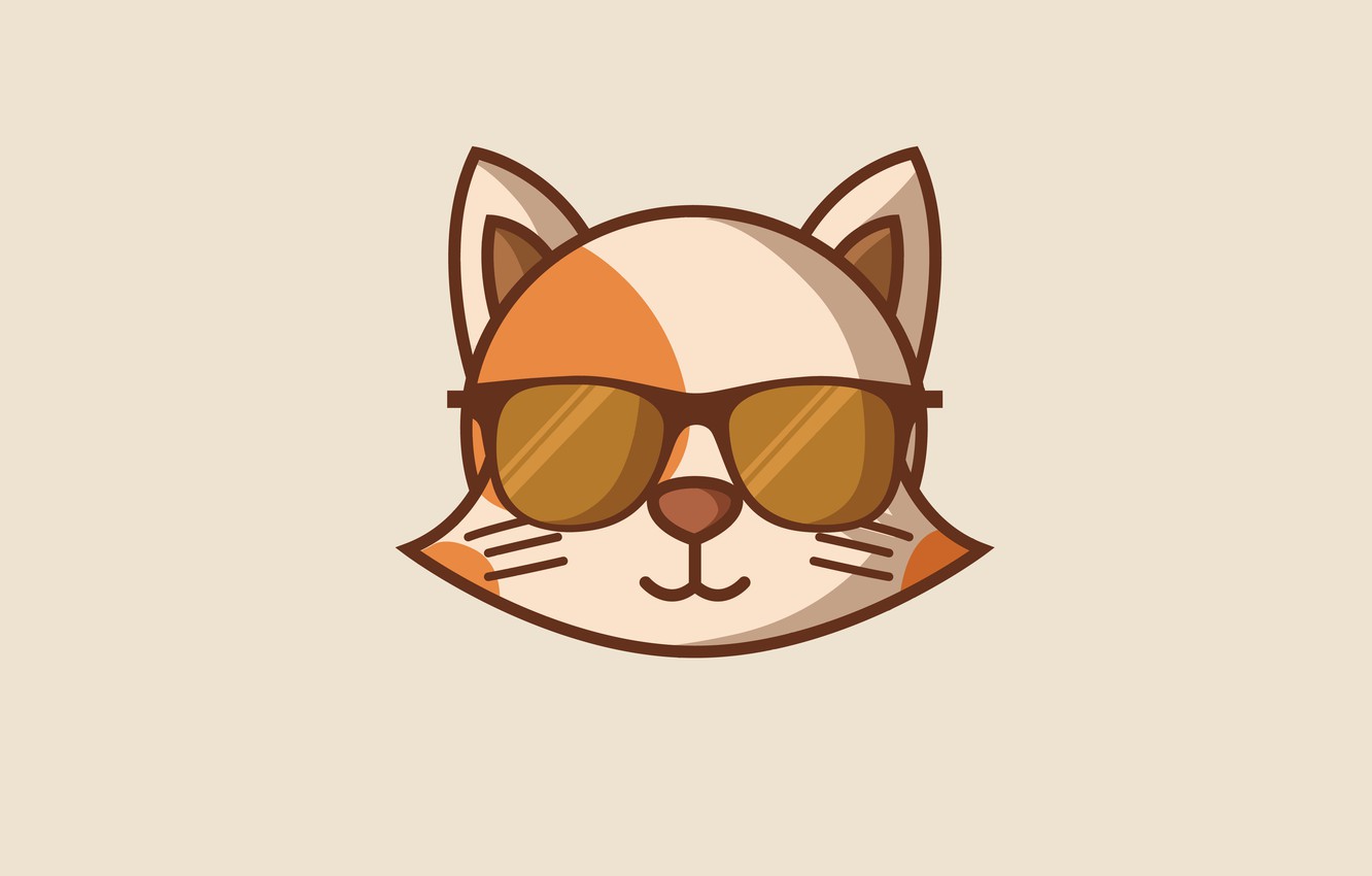 Photo Wallpaper Cat, Cat, Minimalism, Head, Glasses, - Cartoon Cat Png Face - HD Wallpaper 