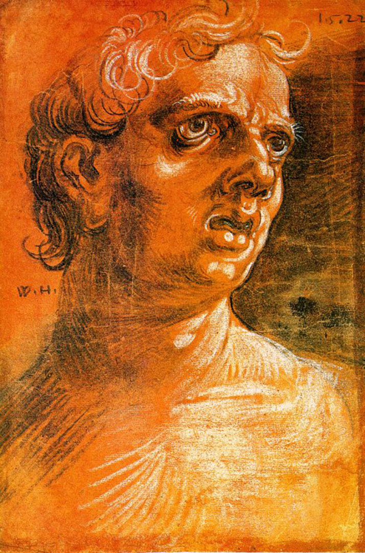 Huber Wolfgang German 1485 - Bust Of A Man - HD Wallpaper 