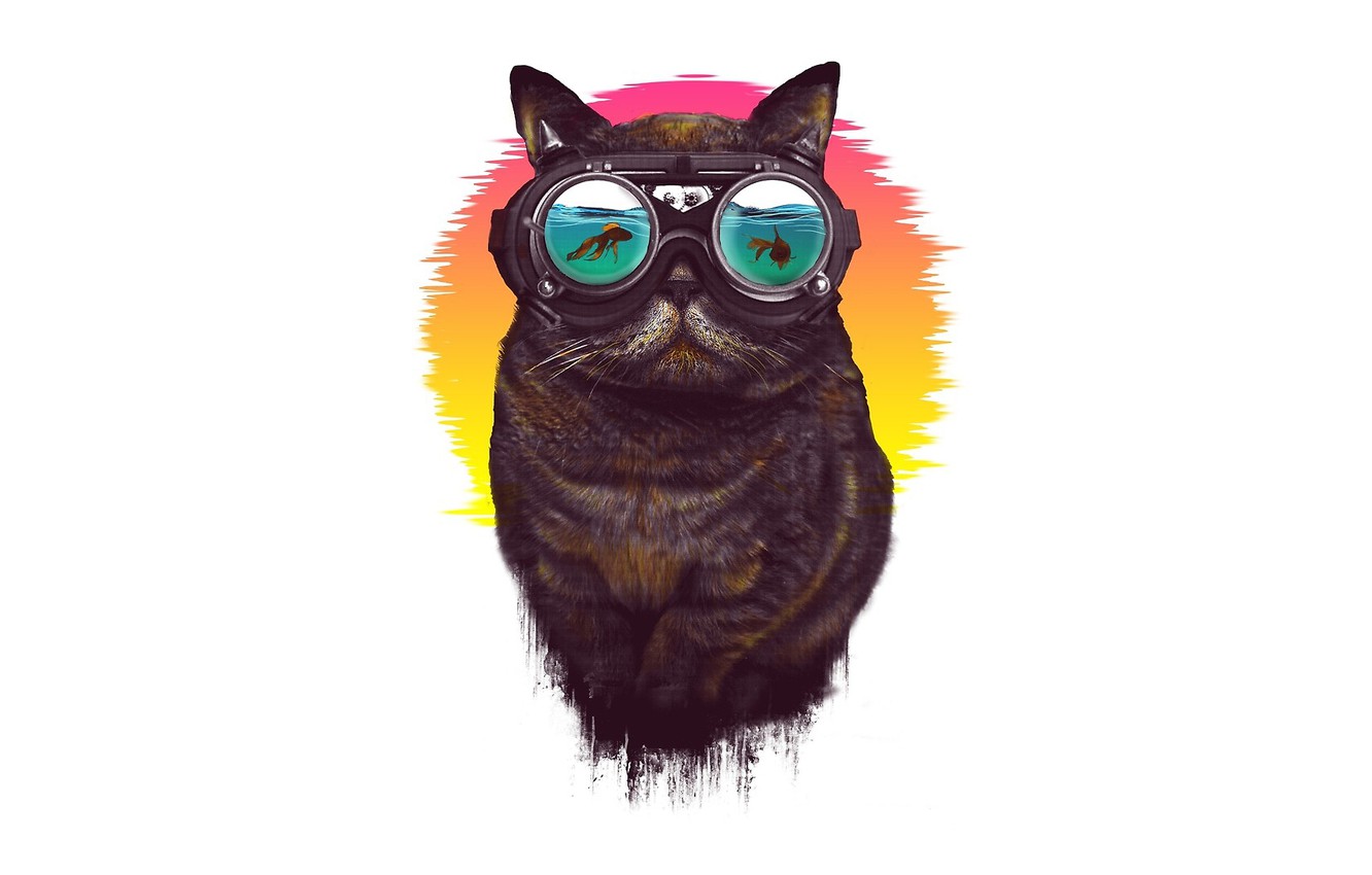 Photo Wallpaper Minimalism, Glasses, Cat, Style, Art, - T-shirt - HD Wallpaper 