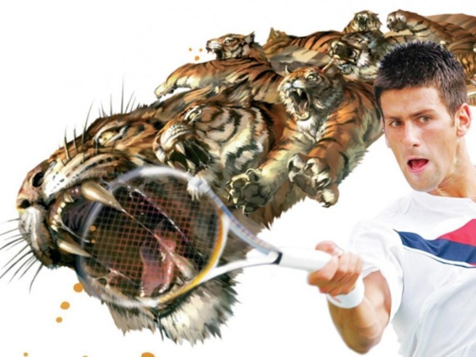 Novak Djokovic Wallpaper Ao - HD Wallpaper 