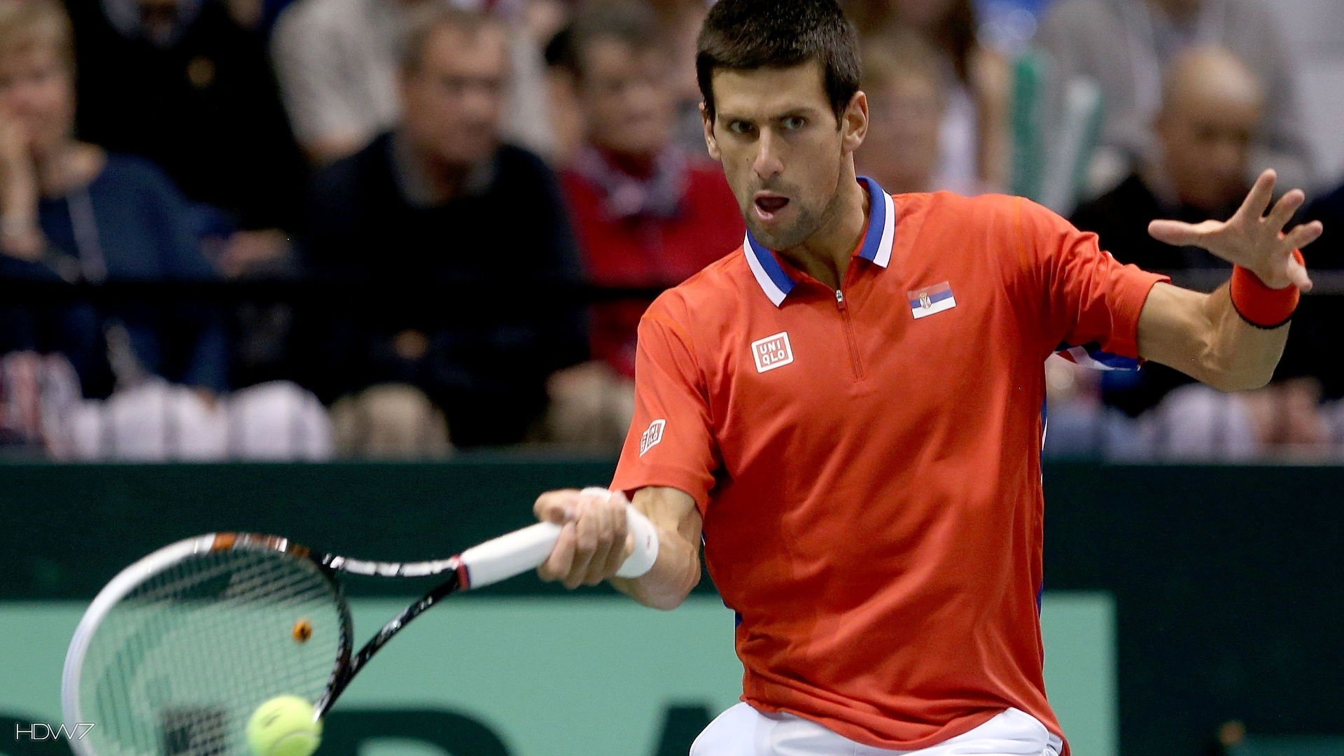 Novak Djokovic Serbia Davis Cup Final Hd Wallpaper - Tennis Player - HD Wallpaper 