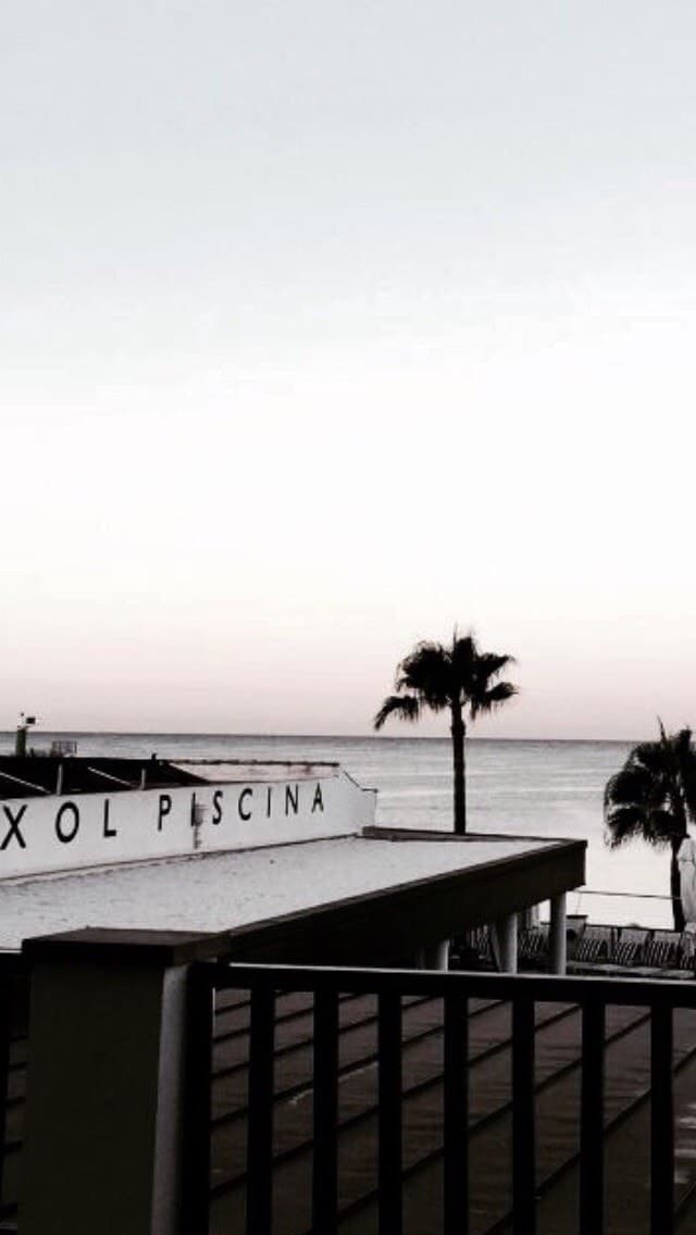 Wallpaper And Lockscreen Image - Morro Sem Amizade Mas Nao Sustento Falsidade - HD Wallpaper 