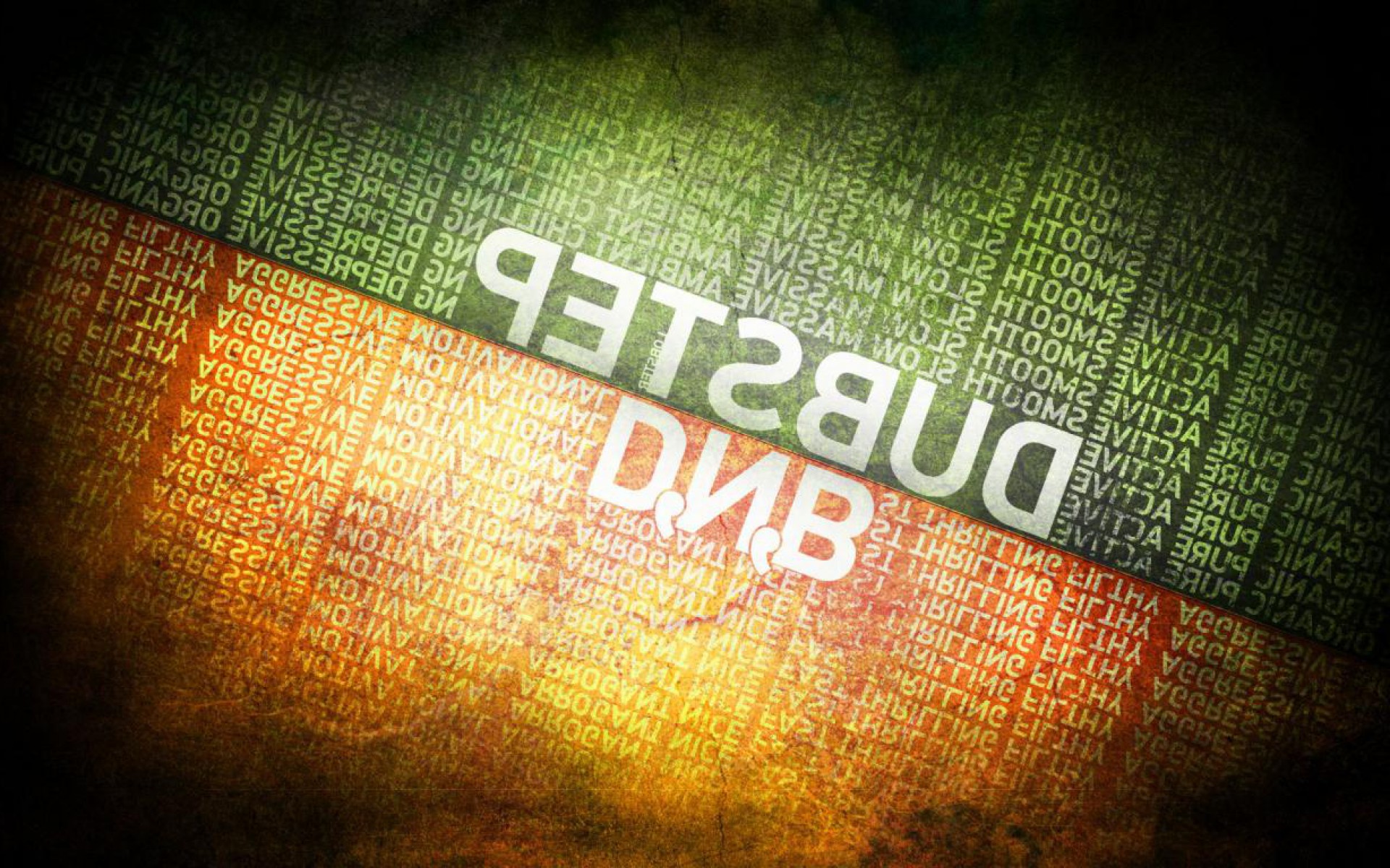 Macro Photography - HD Wallpaper 