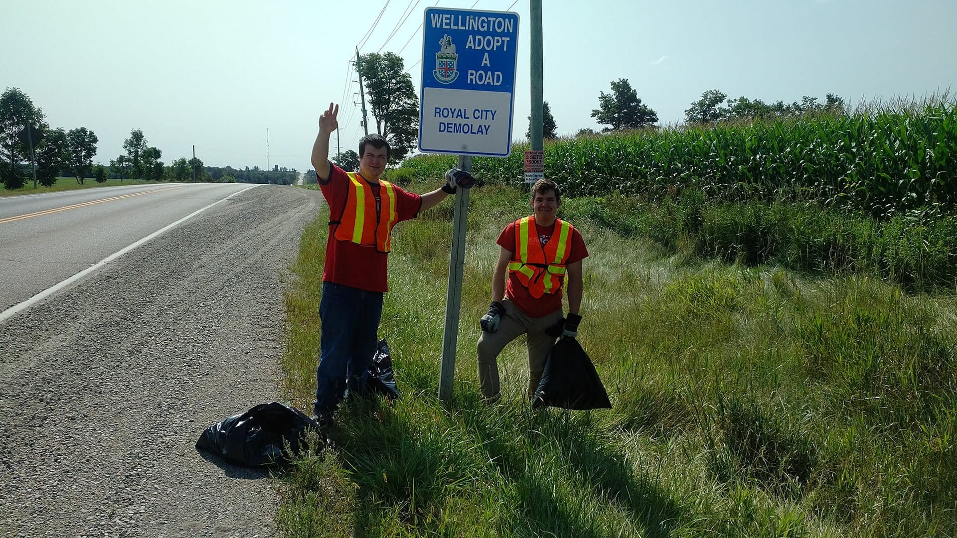 Field - HD Wallpaper 