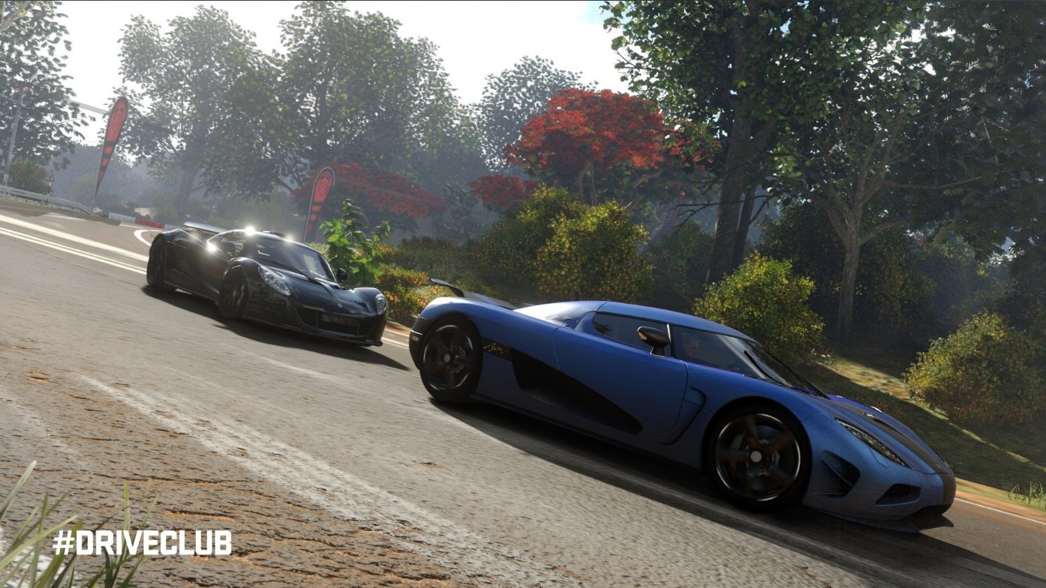 Driveclub Hd Wallpapers, Desktop Wallpaper - Ps4 Driving Drive Club - HD Wallpaper 