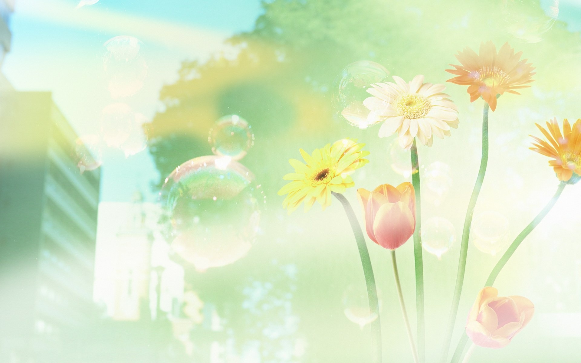 Green Environmental Topics Ps Wallpaper - ภาพ พื้น หลัง สวย ๆ - HD Wallpaper 