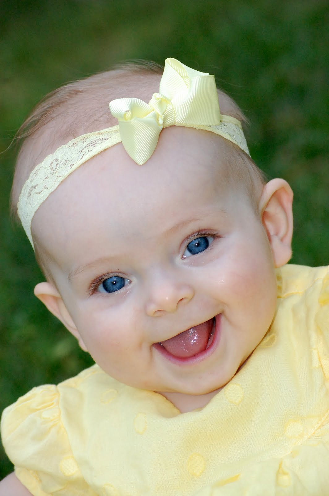 Baby Bunnies For Sale Hd Pictures 4 Hd Wallpapers - HD Wallpaper 