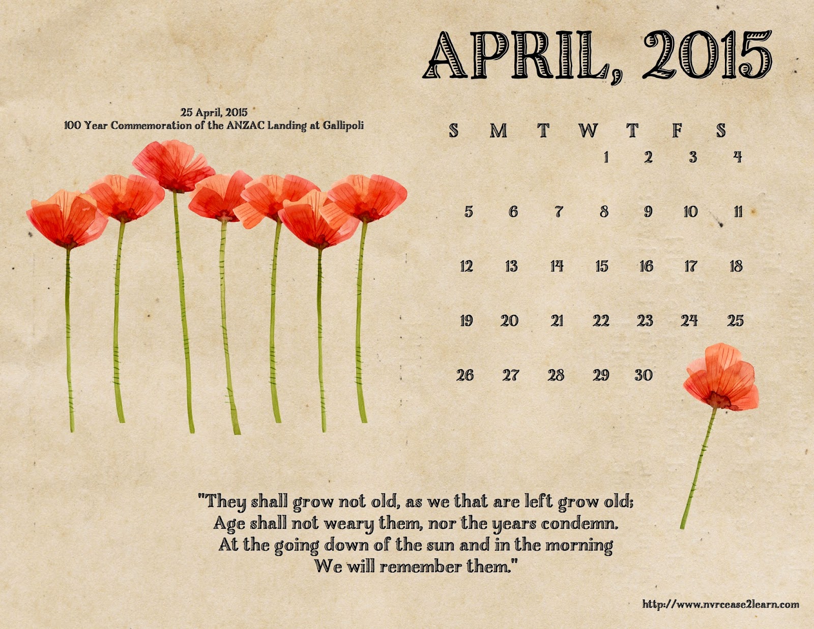 Anthurium - HD Wallpaper 