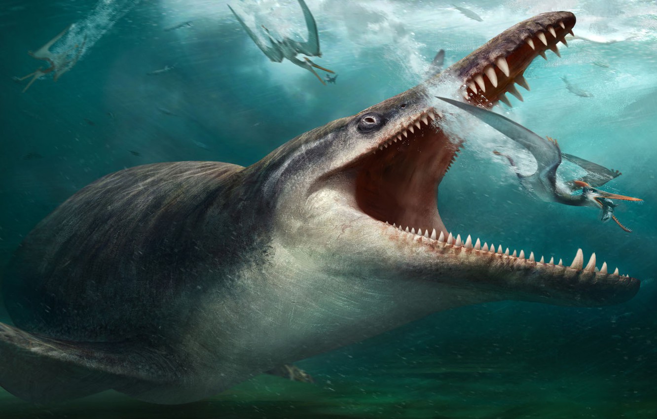 Photo Wallpaper Kronosaurus, Rj Palmerpro Freelance - Rj Palmer Kronosaurus - HD Wallpaper 