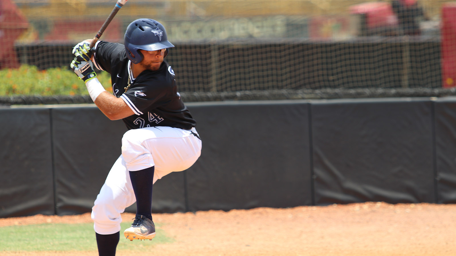 College Softball - HD Wallpaper 