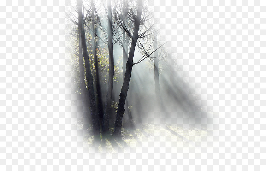 Transparent Png Image - Monochrome - HD Wallpaper 