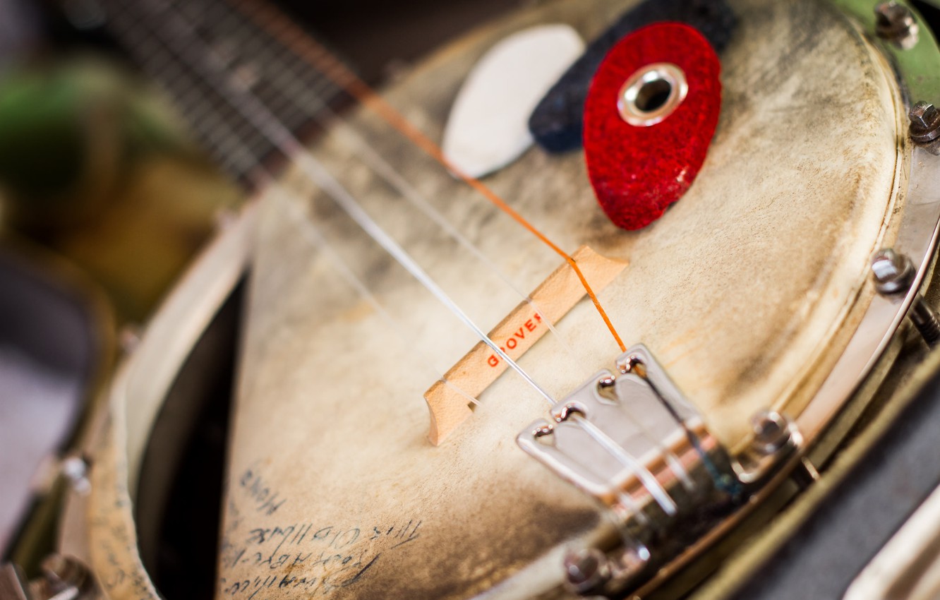 Photo Wallpaper Music, Banjo, Instrument - Animal - HD Wallpaper 