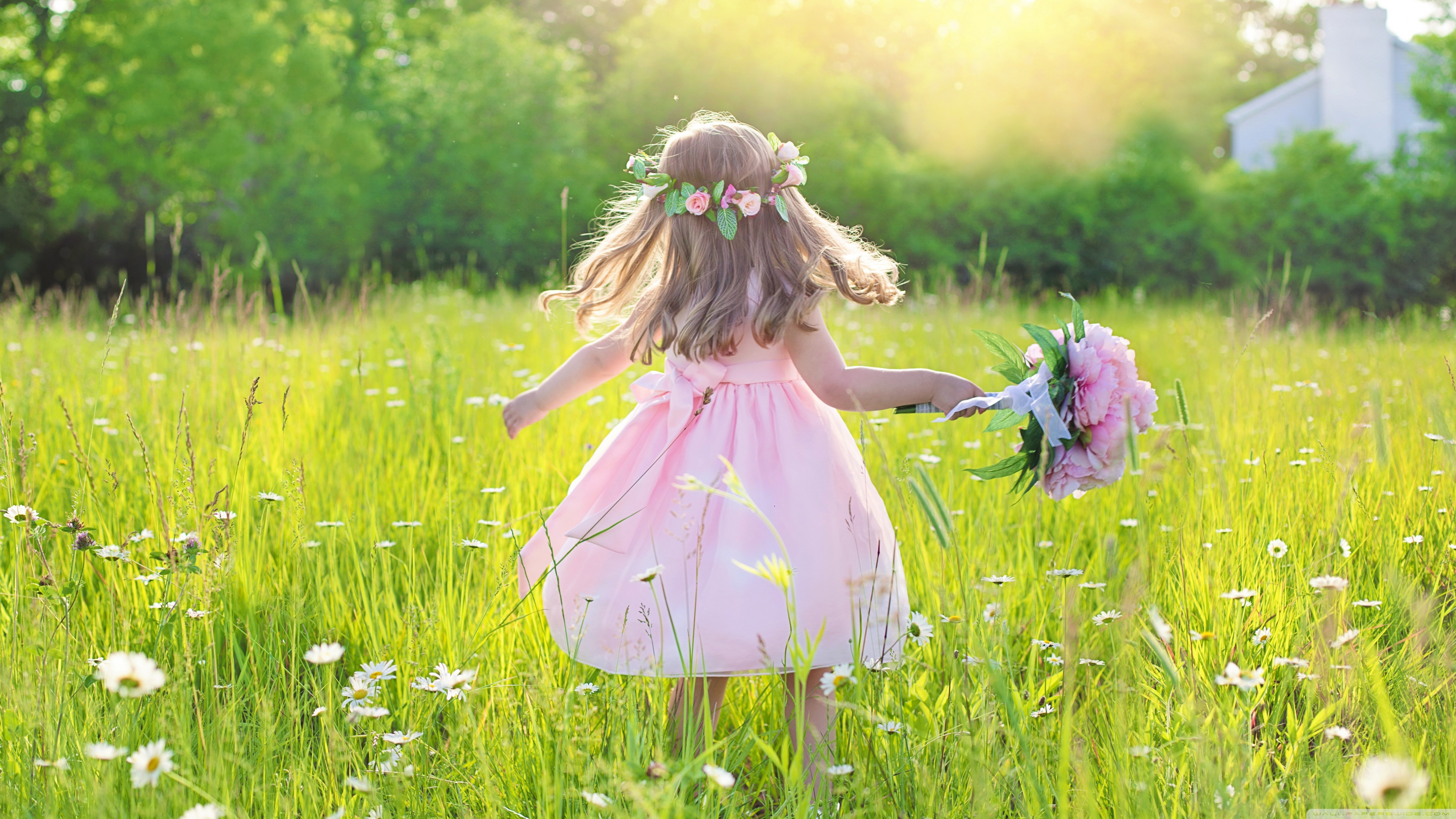 Whatsapp Good Morning Monday - HD Wallpaper 