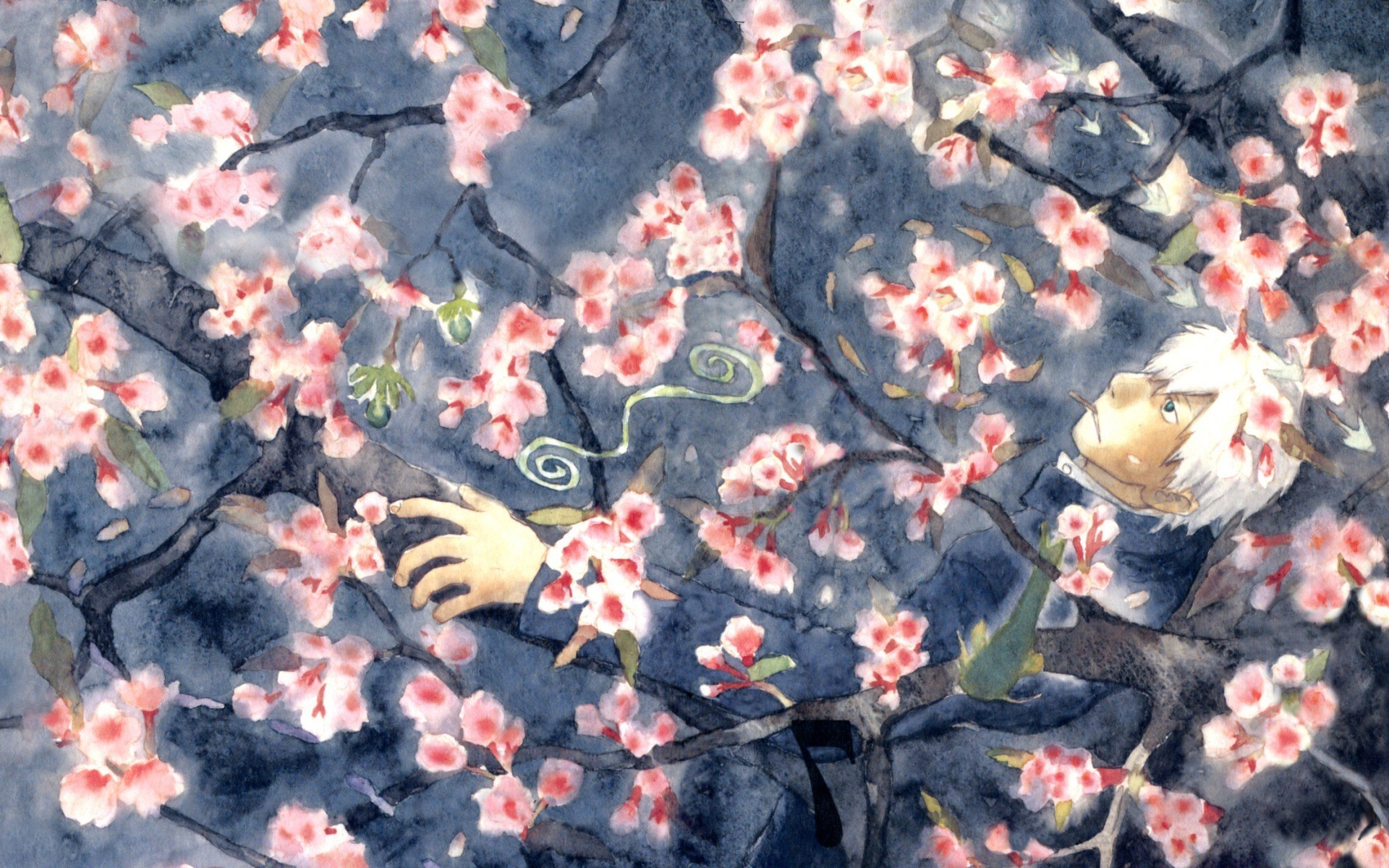 Garden Roses - HD Wallpaper 