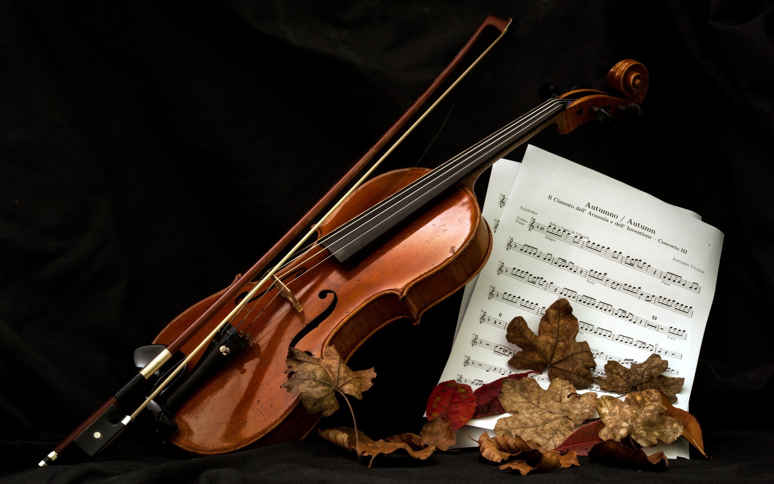 Autumn Leaves With Music Notes - HD Wallpaper 