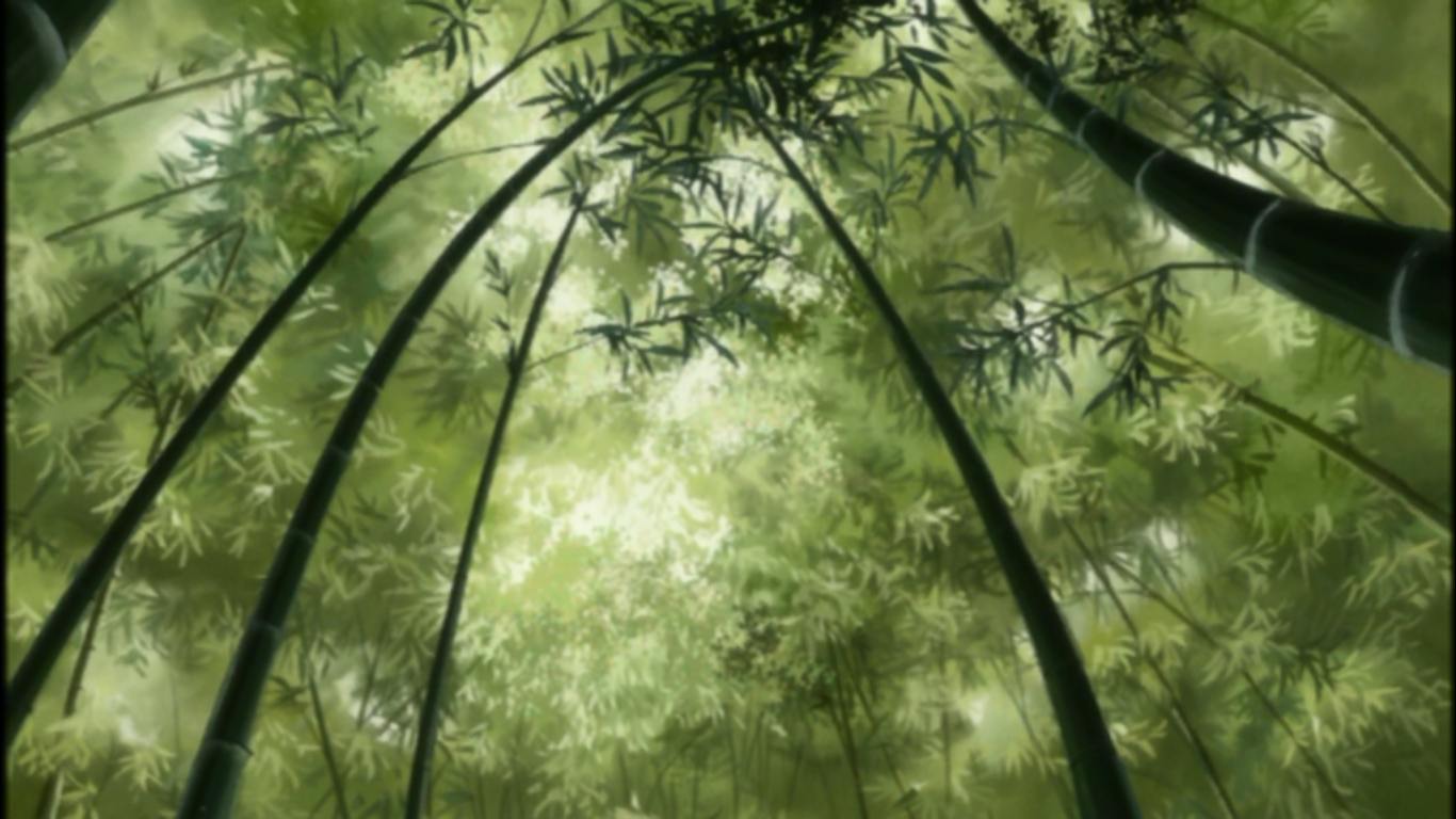 Mushishi Bamboo - HD Wallpaper 