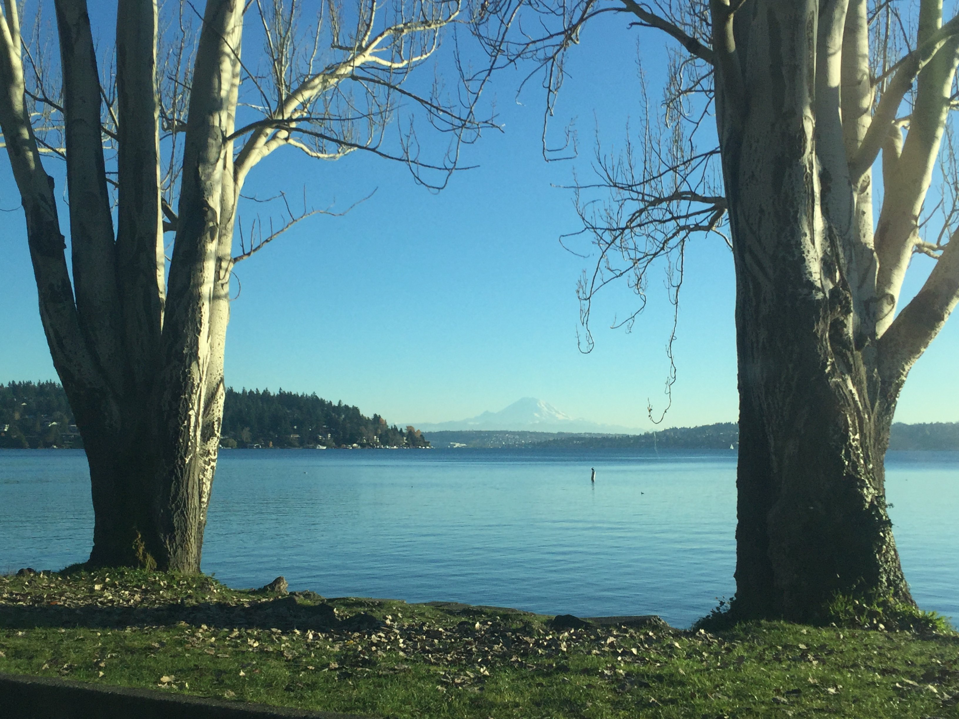 Mt Rainier Wallpaper - HD Wallpaper 