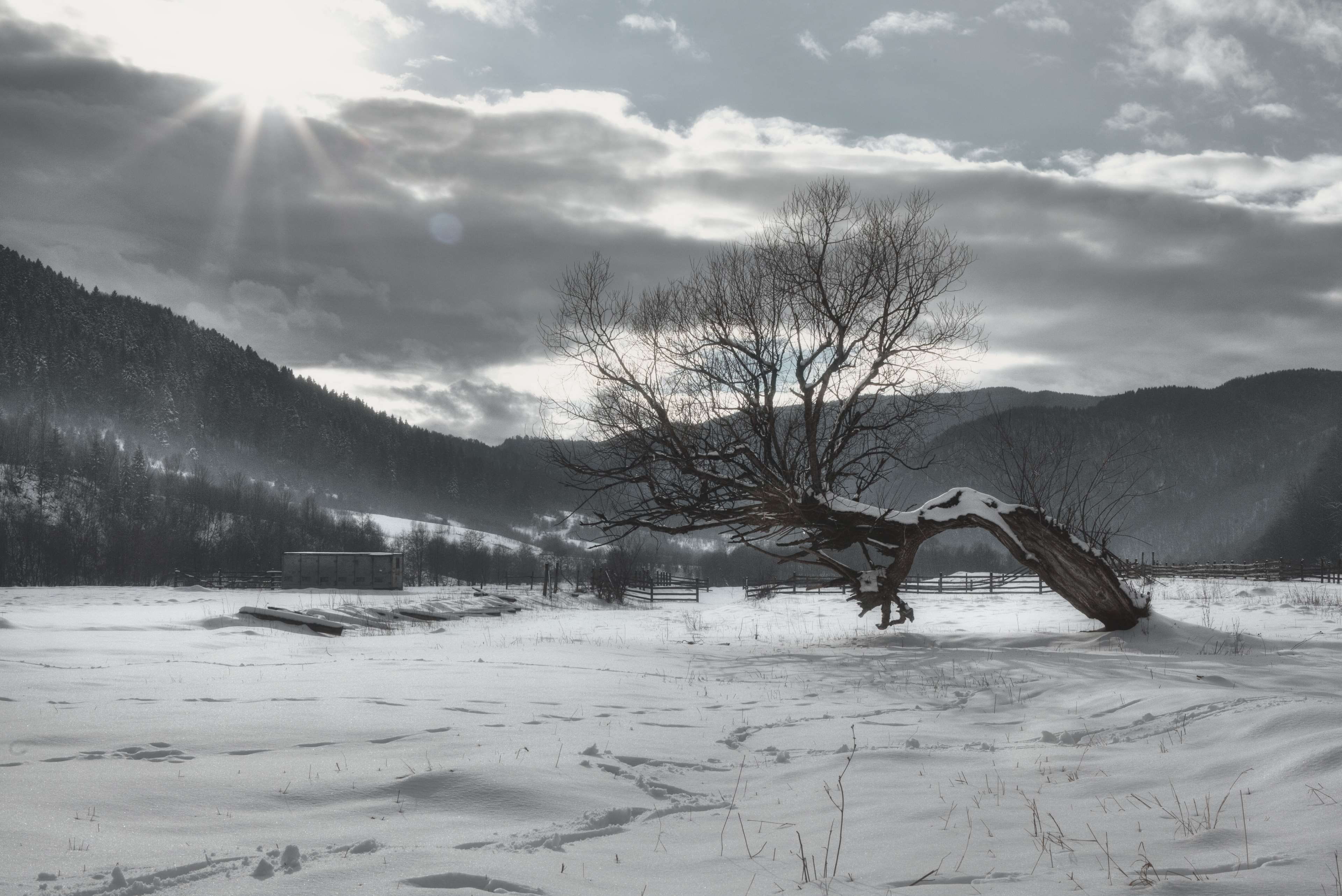 Misty Mountain Wallpaper - HD Wallpaper 
