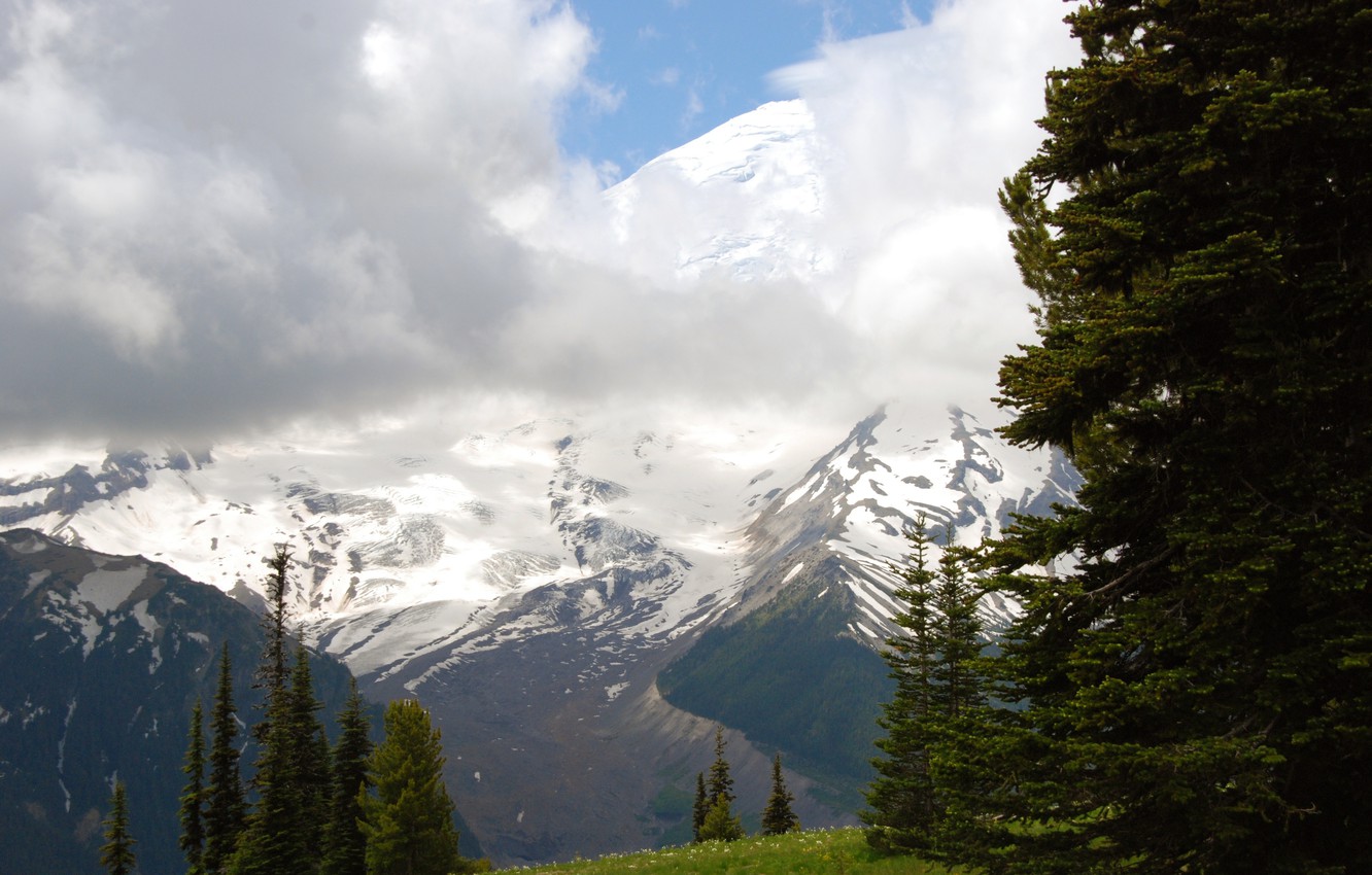 Photo Wallpaper Forest, Grass, Clouds, Trees, Mountains, - Mount Rainier National Park, Mount Rainier - HD Wallpaper 