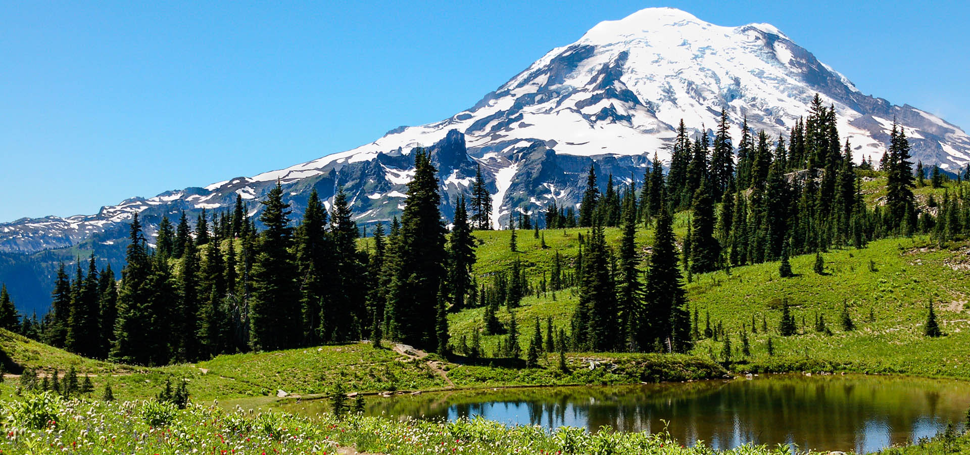 Hq Mount Rainier Wallpapers - Mount Rainier National Park, Mount Rainier - HD Wallpaper 