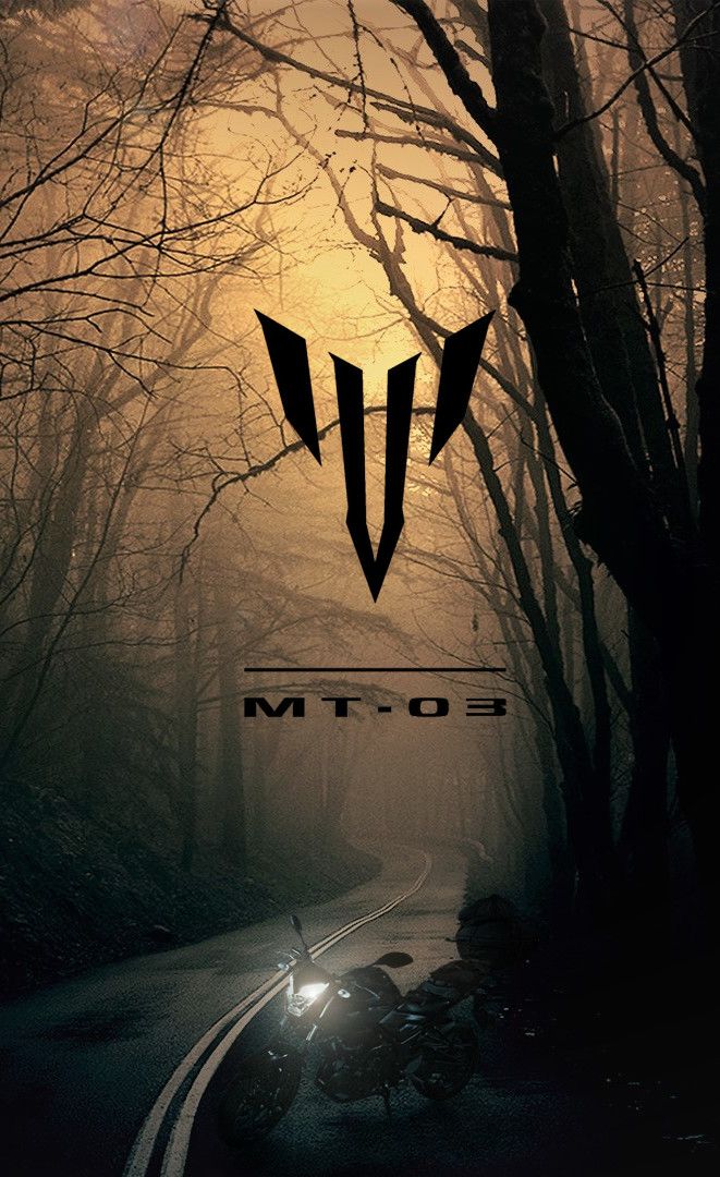 Dark Road - HD Wallpaper 